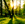 Background Image 1